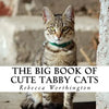 The Big Book of Cute Tabby Cats: A text-free book for Seniors and Alzheimer's patients - Paperback