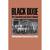 Black Dixie: Afro-Texan History and Culture in Houston - Paperback