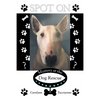 Spot On: Mystery at the Dog Rescue - Paperback