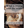 What is wrong with the world - Paperback