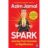 Spark: Journey from Success to Significance - Paperback