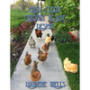 Easy Clean Chicken House Design: Vermiculture Chicken House Design with Sliding Floor - Paperback