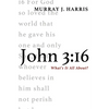 John 3:16: What's It All About? - Hardcover