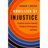 Mobilized by Injustice: Criminal Justice Contact, Political Participation, and Race - Paperback