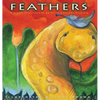 Feathers: A Visual Tale Inspired By South American Folklore - Hardcover