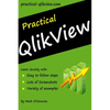 Practical QlikView - Paperback