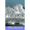 Divine Connection: He will teach you all things, and bring to your remembrance all things that Jesus said. - Paperback