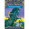 Stallion by Starlight - Paperback