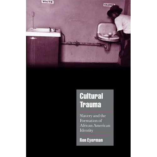 Cultural Trauma: Slavery and the Formation of African American Identity - Paperback