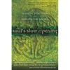 The Soul's Slow Ripening: 12 Celtic Practices for Seeking the Sacred - Paperback