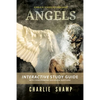 Angels Workbook: A Biblical School of Living Light - Paperback
