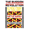 The Russian Revolution: A View from the Third World - Paperback