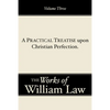 A Practical Treatise upon Christian Perfection, Volume 3 - Paperback