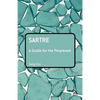 Sartre: A Guide for the Perplexed - Paperback