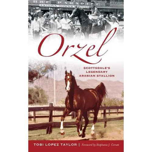 Orzel: Scottsdale's Legendary Arabian Stallion - Hardcover
