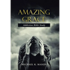 Amazing Grace Addiction Bible Study - Hardcover