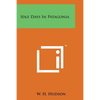 Idle Days in Patagonia - Paperback