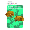 Origami Caribbean: A New Look for Child Development - Paperback