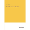 Piccola the Prisoner of Finestrella - Paperback