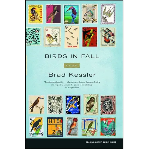 Birds in Fall - Paperback
