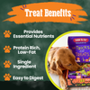 Halloween 31 Snack Pack Dog Treat Box