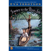 Journey to the River Sea - Paperback