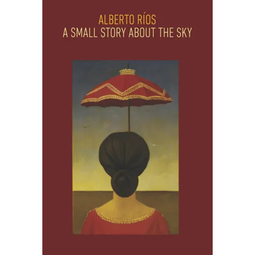 A Small Story about the Sky - Paperback