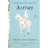 Astray - Paperback