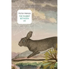 The Rabbit Between Us - Paperback