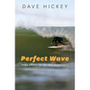 Perfect Wave: More Essays on Art and Democracy - Paperback