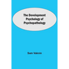 The Development Psychology Of Psychopathology - Paperback