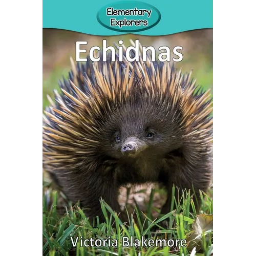 Echidnas - Paperback