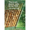There are queen cells in my hive: - what should I do? - Paperback