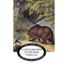 Little Brother to the Bear - Hardcover