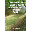 The Fountain of Youth at Red Boiling Springs, Tennessee: Part 2 - Paperback