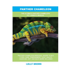 Panther Chameleon: The Ultimate Panther Chameleon Pet Owner's Manual - Paperback