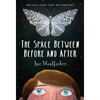 The Space Between Before and After - Paperback