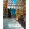 Discipling Through Galatians Study Guide: Verse-by-Verse Through the Book of Galatians - Paperback