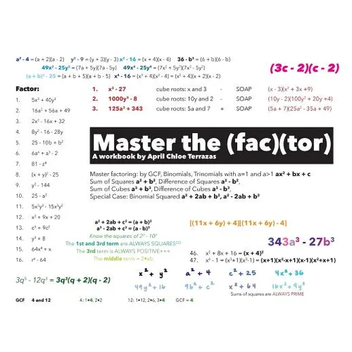 Master the Factor - Paperback