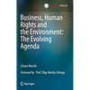 Business, Human Rights and the Environment: The Evolving Agenda - Hardcover