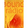 Experimental Sound and Radio - Paperback