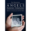 Angels Passing Through: Reflections on Growing Up with Foster Babies - Paperback