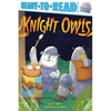 Knight Owls: Ready-To-Read Pre-Level 1 - Paperback