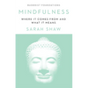 Mindfulness: Where It Comes from and What It Means - Paperback
