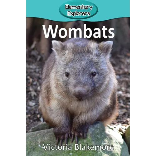 Wombats - Paperback
