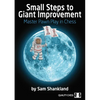 Small Steps to Giant Improvement - Paperback