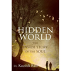 Hidden World: The Inside Story of the Soul - Paperback