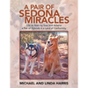 A Pair of Sedona Miracles: Life as Seen by Sam and Athena a Pair of Hybrids in a Land of Conformity - Paperback