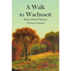 A Walk to Wachusett - Paperback