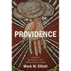 Providence: A Biblical, Historical, and Theological Account - Paperback
